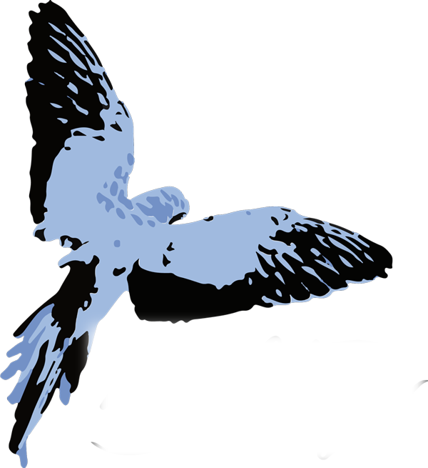 Logo Belletazar perruche